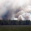 Иркутская область вышла в лидеры России по площади лесных пожаров