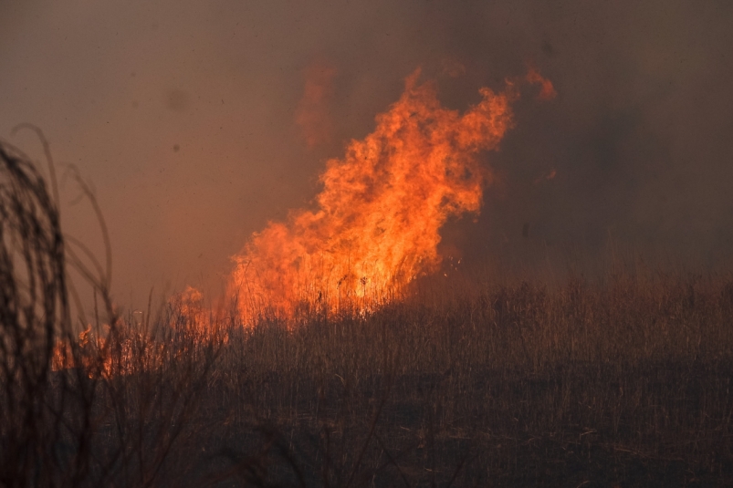 Площадь лесных пожаров в Иркутской области выросла до 18,9 тысячи га