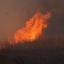Площадь лесных пожаров в Иркутской области выросла до 18,9 тысячи га