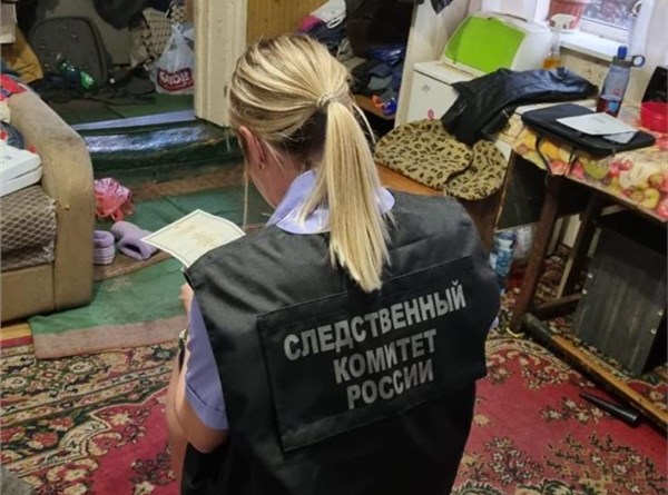 В Красноярске домашняя собака насмерть загрызла 5-летнего мальчика