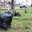 Около 80 тонн мусора вывезли с Чертугеевского полуострова в Иркутске