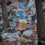 Около 80 тонн мусора вывезли с Чертугеевского полуострова в Иркутске