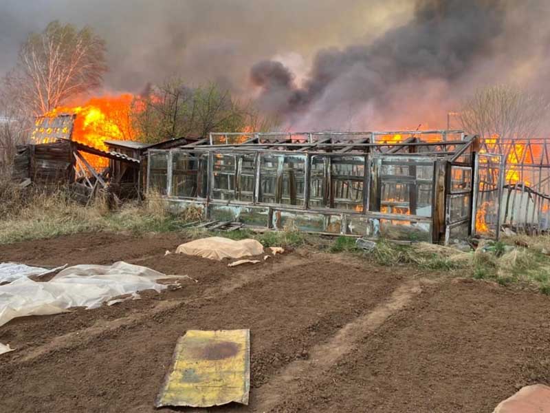 Причиной масштабного пожара в СНТ «Механизатор» стал пал травы на одном из участков