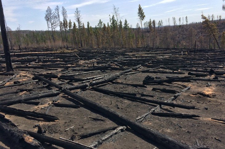 С 19 мая в лесах Иркутской области введен режим ЧС из-за лесных пожаров