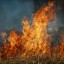 В лесах Иркутской области ввели режим ЧС из-за пожаров