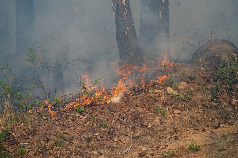 Угроза перехода огня на деревню Исеть существовала из-за пожара в Качугском МО Приангарья