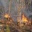 В Тайшетском районе горел сухостой на площади 10 гектаров