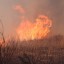 10 пожаров на площади 11786 га продолжают действовать в шести районах Иркутской области