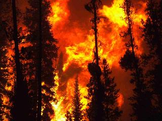 В Усть-Илимском районе лесные пожары тушат с помощью взрывчатки