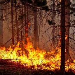 В Иркутской области локализовали первый пожар с помощью взрывчатки