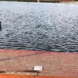 В Черемхово на городском озере утонул 12-летний мальчик