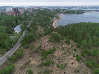 4700 сосен высадили иркутяне в акции фонда «Подари планете жизнь»