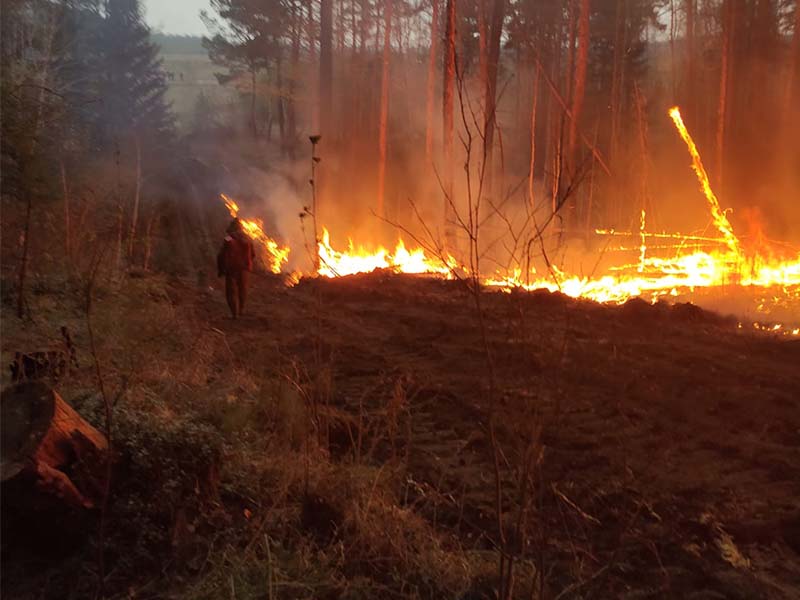 Более четырех гектаров леса сгорело по вине местного жителя в Иркутском районе