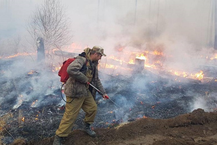 Иркутская область вышла на третье место по количеству лесных пожаров в России
