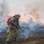Иркутская область вышла на третье место по количеству лесных пожаров в России