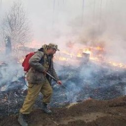 24 лесных пожара потушили в Иркутской области за сутки