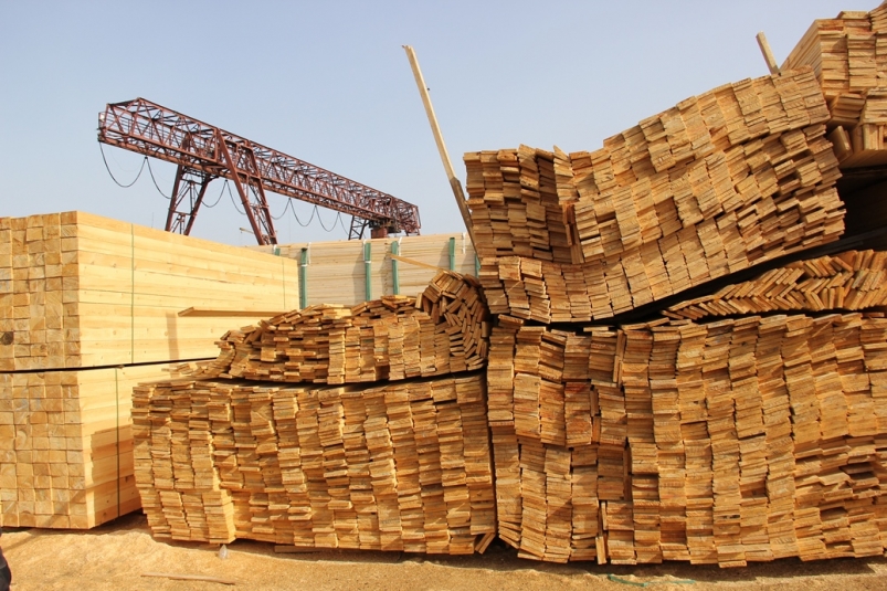 Иркутская таможня выявила контрабанду древесины на 1,5 млн рублей в Узбекистан
