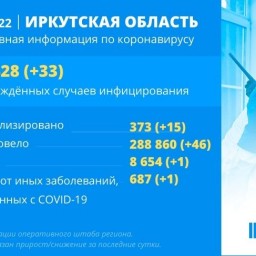 33 жителя Иркутской области заболели коронавирусом за сутки