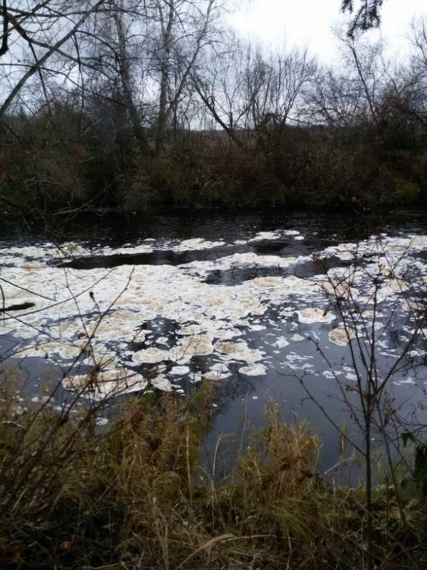 Крупный выброс химической пены в реку Вихоревка в Братском районе зафиксировал Яндекс