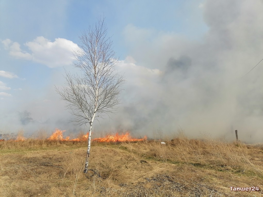 Мусор и сухая трава горели на площади 7 гектаров в Тайшетском районе