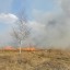 Мусор и сухая трава горели на площади 7 гектаров в Тайшетском районе