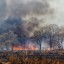 Число пожаров в Иркутской области выросло на 13%