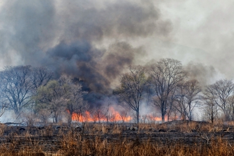 Число пожаров в Иркутской области выросло на 13%