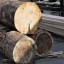 Древесины на 140 млн рублей незаконно вывезли из Иркутской области с начала 2022 года