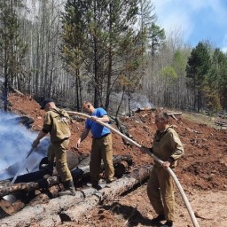 27 мая в Иркутской области действует семь лесных пожаров на площади 454 гектара