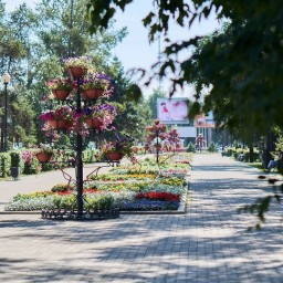 Голосование за объекты благоустройства в Иркутске завершится 30 мая