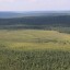 21 июня в Иркутской области действуют три лесных пожара на площади 2 707 гектаров