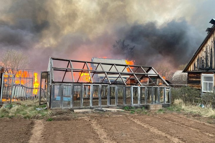 Путин подписал указ о поддержке пострадавших от пожаров в Иркутской области