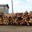 В Иркутске суд взыскал с лесного контрабандиста 22 млн рублей