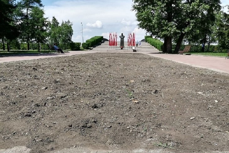 Цветы на клумбу у памятника Белобородову высадят до 26 июня