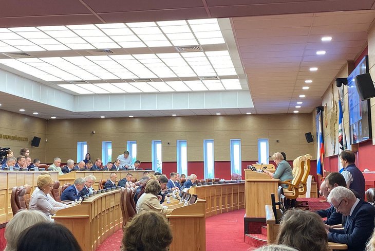 Депутаты Заксобрания Иркутской области приняли поправки в бюджет региона
