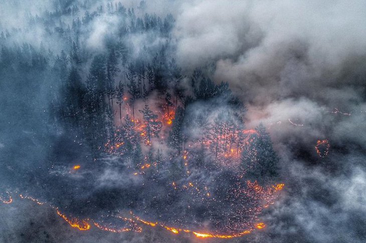 15 тысяч гектаров леса горело в Иркутской области утром 26 июня