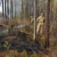 Два новых лесных пожара на площади 2 гектара обнаружили в Приангарье