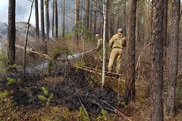 Два новых лесных пожара на площади 2 гектара обнаружили в Приангарье