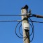 Предприниматель из Жигаловского района незаконно подключился к электросетям