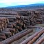 В Тайшете будут судить двух иностранцев за контрабанду древесины на 60 миллионов рублей