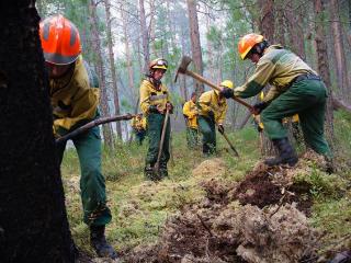 Восемь лесных пожаров действуют в Иркутской области на утро 29 июня