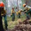 Восемь лесных пожаров действуют в Иркутской области на утро 29 июня
