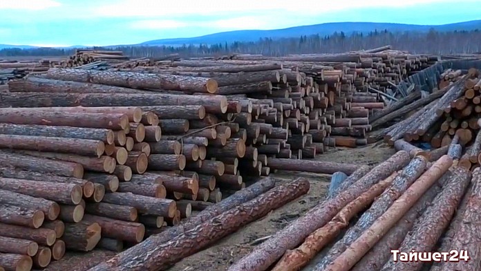 В Тайшете будут судить двух иностранцев за контрабанду древесины на 60 миллионов рублей