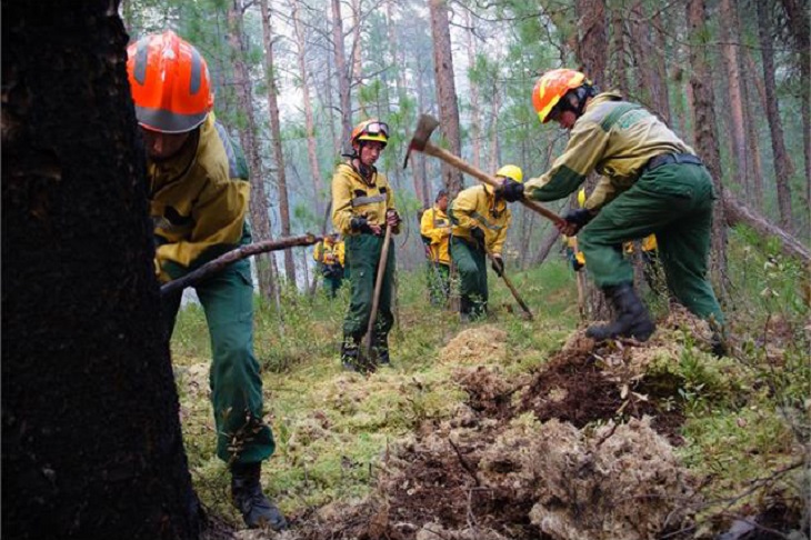 В Иркутской области действует 12 пожаров на площади 20 371 гектар
