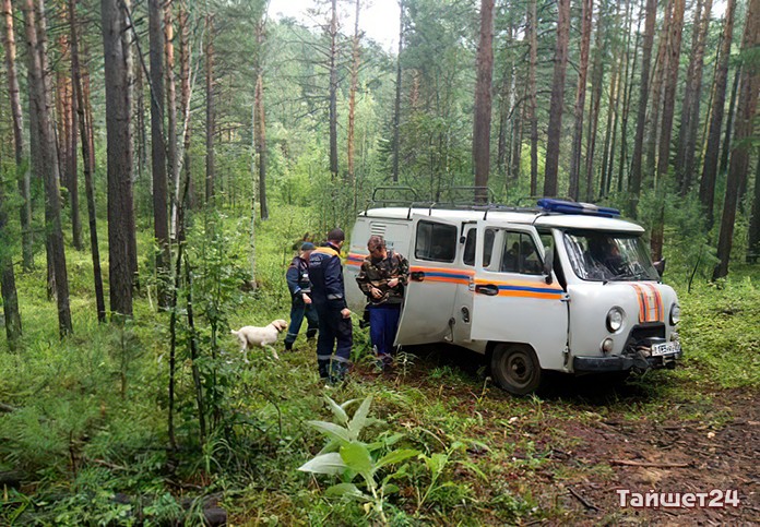 В лесу Тайшетского района заблудился 19-летний парень
