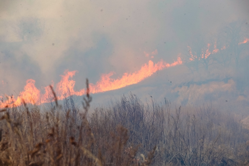 Дым от лесных пожаров в Иркутской области накрыл Бурятию