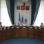 Депутаты Думы Иркутска предложили консолидированную борьбу с горностаевой молью