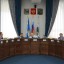 Депутаты иркутской Думы предложили идеи по борьбе с горностаевой молью
