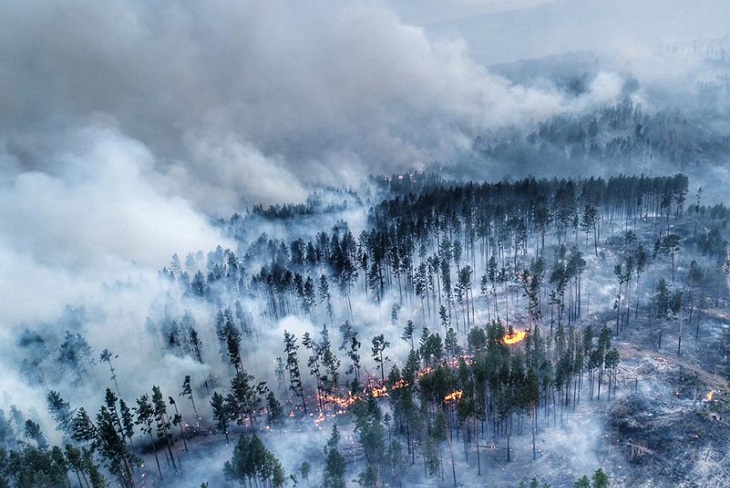 Девять лесных пожаров действует в Иркутской области 2 июля
