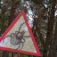 Число пострадавших от укусов клещей в Иркутской области превысило 10 тысяч